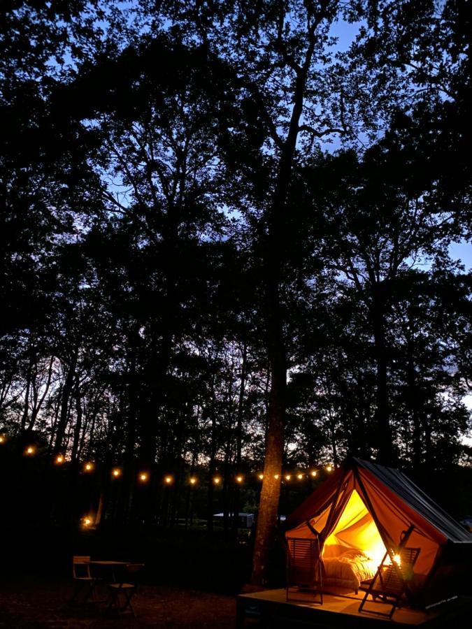 Camping De La Foret Seasonova Sille-le-Guillaume Екстер'єр фото